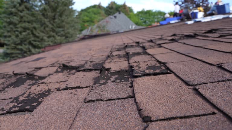 Best Storm Damage Roof Repair  in Spencerville, NM